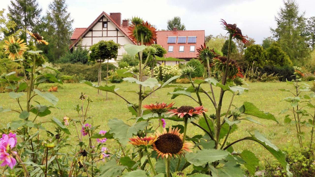 Villa Orlik Барлинек Экстерьер фото